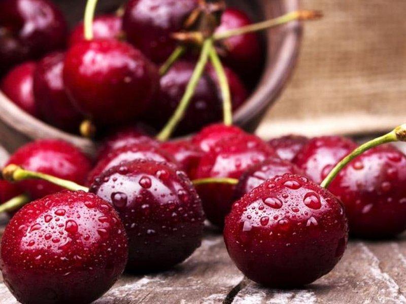 Вишня купить саженцы из питомника в Лениногорске